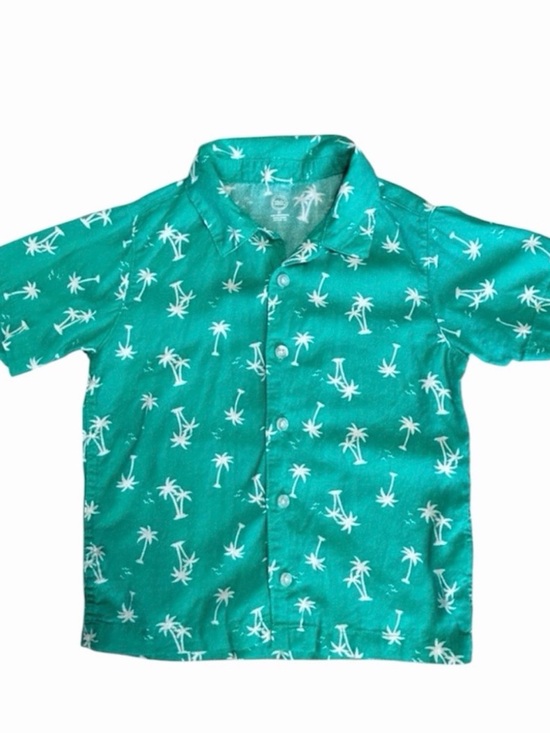 wonder nation Other - Wonder Nation Boys Tropical Button Up Shirt 5T Teal Green